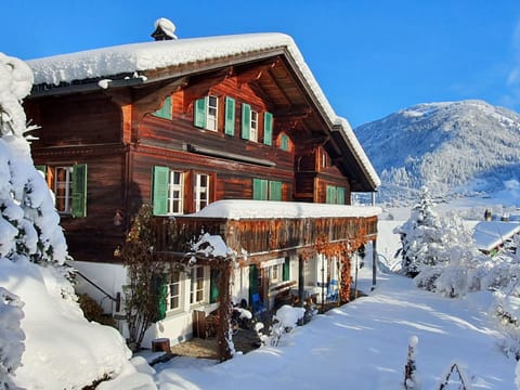 Building, Snow, Property, Sky, Window, Mountain, Blue, House, Slope, Tree