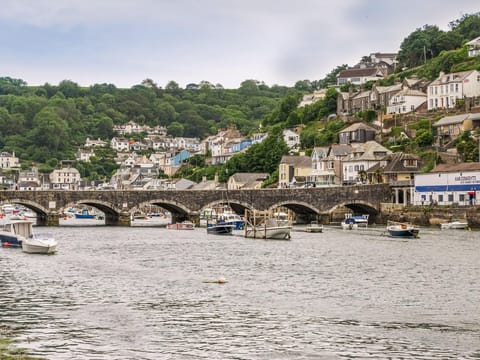 Surrounding area | 3 Mount Pleasant - River View Cottages, Looe