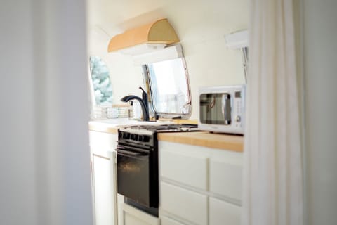 Mobile Home | Private kitchen | Fridge, microwave, coffee/tea maker, electric kettle