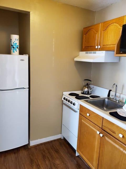 Premium Apartment | Private kitchen | Full-size fridge, microwave, oven, stovetop