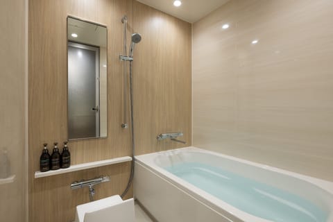 Combined shower/tub, deep soaking tub, hair dryer, electronic bidet