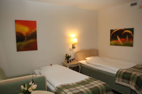 Economy Single Room (Single room with extra bed) | Hypo-allergenic bedding, minibar, in-room safe, individually decorated