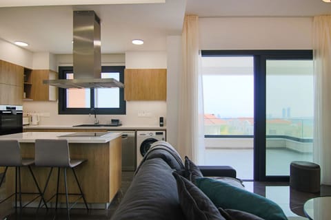 Deluxe Apartment | Private kitchen | Full-size fridge, microwave, oven, stovetop