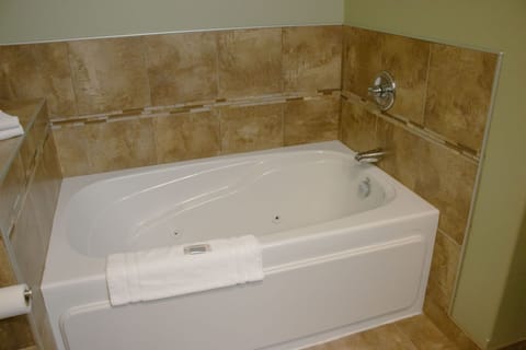 Combined shower/tub, free toiletries, hair dryer, towels