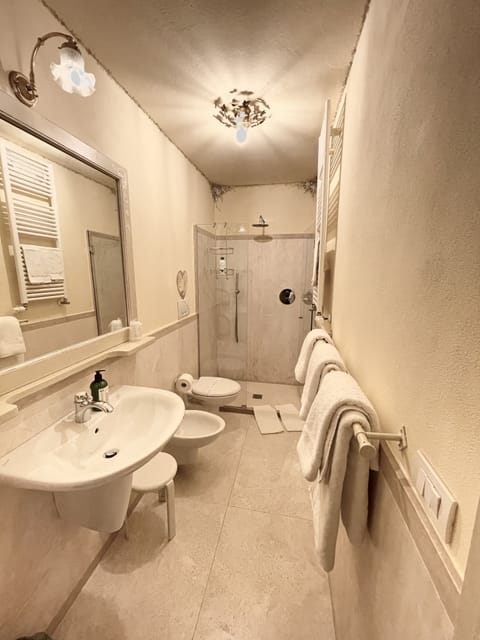 Triple Room | Bathroom | Shower, hair dryer, towels