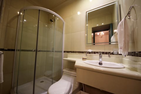 Single Room | Bathroom | Free toiletries, hair dryer, towels