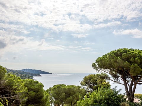 Cloud, Sky, Daytime, Water, Nature, Natural Landscape, Tree, Plant, Highland, Coastal And Oceanic Landforms