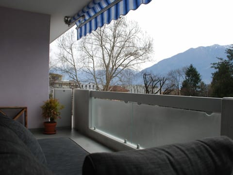 Sky, Property, Plant, Building, Shade, Houseplant, Interior Design, Tree, Line, Wall