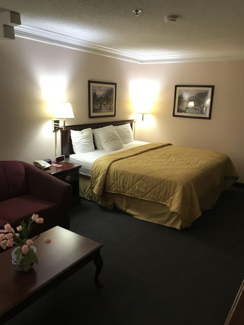 King Room Non-Smoking | Iron/ironing board, free WiFi, bed sheets
