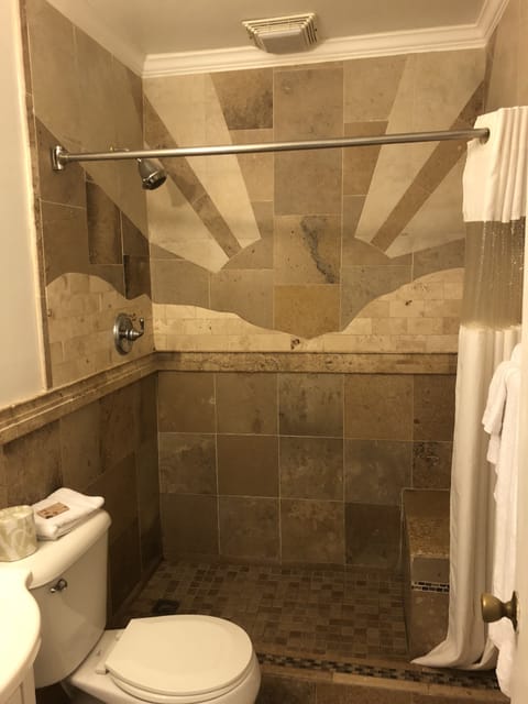 Room, 1 King Bed | Bathroom shower