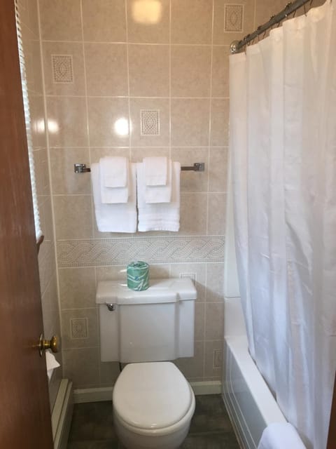 Deluxe Double Room | Bathroom | Shower, hair dryer, towels