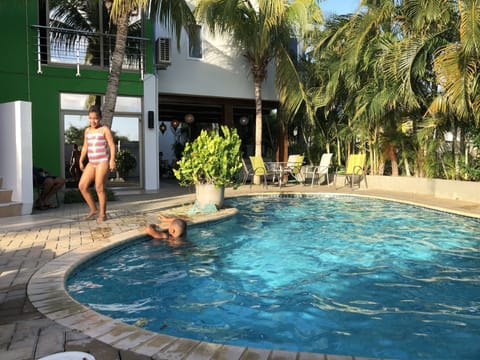 Outdoor pool, sun loungers