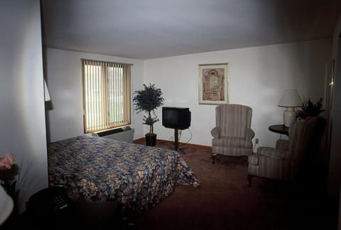 Suite, 1 King Bed | Desk, iron/ironing board, free WiFi, bed sheets