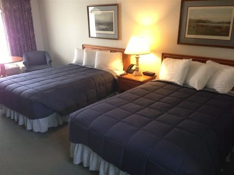 Deluxe Double Room | Desk, iron/ironing board, cribs/infant beds, free WiFi