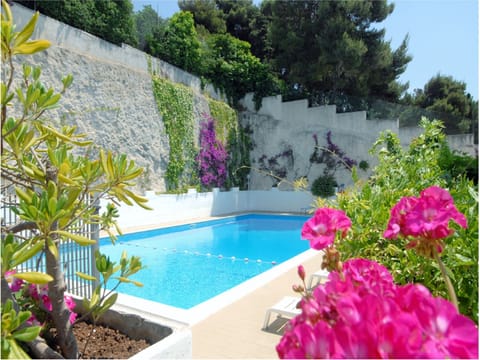 Seasonal outdoor pool, pool umbrellas, sun loungers