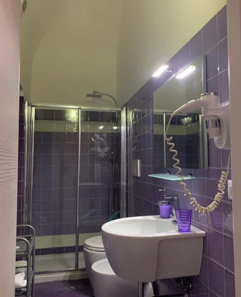 Deluxe Double Room | Bathroom | Shower, free toiletries, bidet, towels