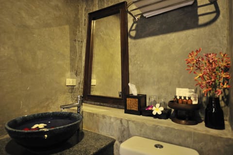 Premium Room | Bathroom | Free toiletries, hair dryer, towels
