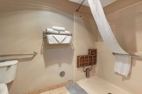 Combined shower/tub, free toiletries, hair dryer, towels