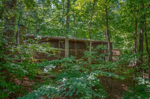 The Cabin in the Woods