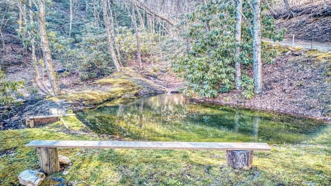 Pond and Sitting Area