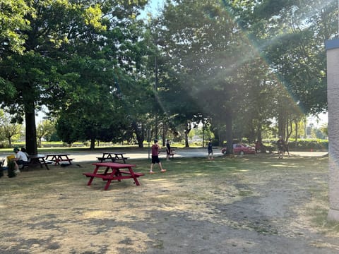 BBQ/picnic area