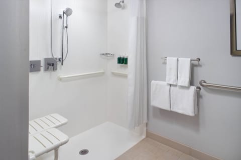 Combined shower/tub, free toiletries, hair dryer, towels