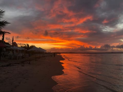 On the beach, white sand, beach bar