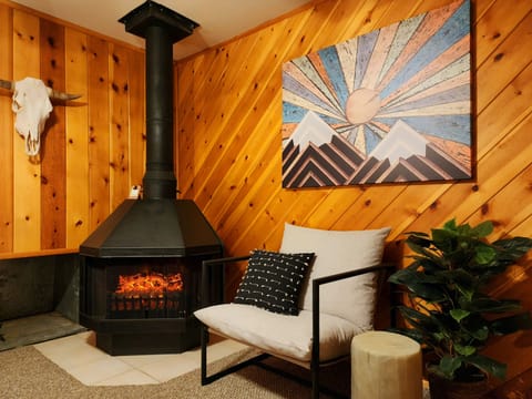 Bedroom #2. W Electric fireplace.