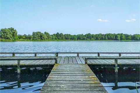 Region [summer] (>5 km)