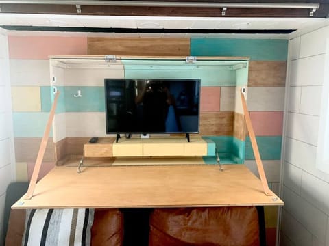 TV inside hidden shelf agains north wall