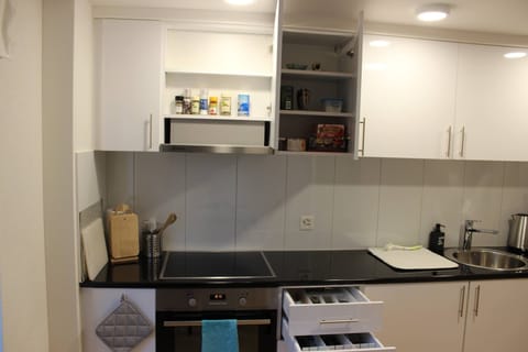 Apartment, 1 Bedroom, City View | Private kitchen | Microwave, coffee/tea maker