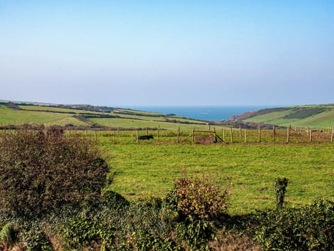Outdoor area | The Loft, Llanrhian