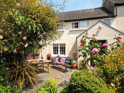 Outdoor area | Llys Isaf, St Nicholas