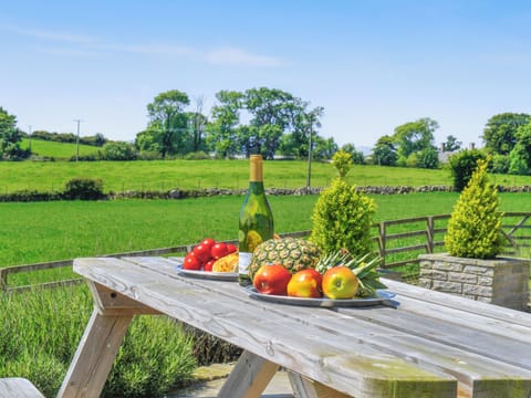 Outdoor area | Gelli Gron (Open Pastures), Llanystumdwy, near Llanarmon, Llyn Peninsula
