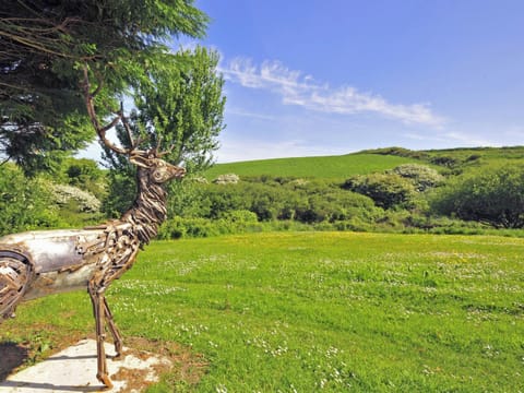 Outdoor area | The Burgage, Nolton Haven, Pembrokeshire coast