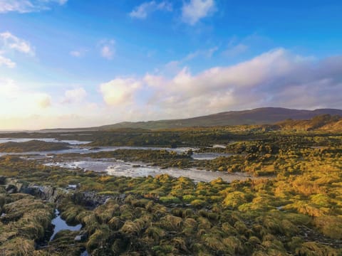 Surrounding area | Church Place, Kirkcudbright