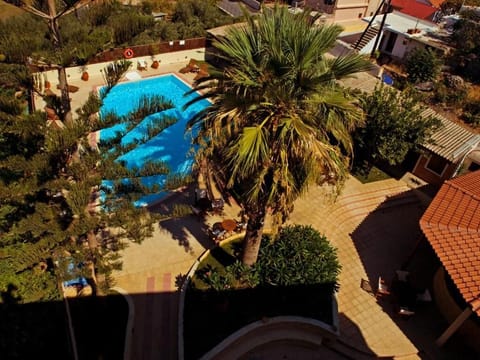 Seasonal outdoor pool, pool umbrellas, sun loungers