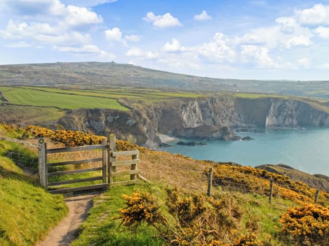 Outdoor area | Yr Hen Felin, Castlemorris