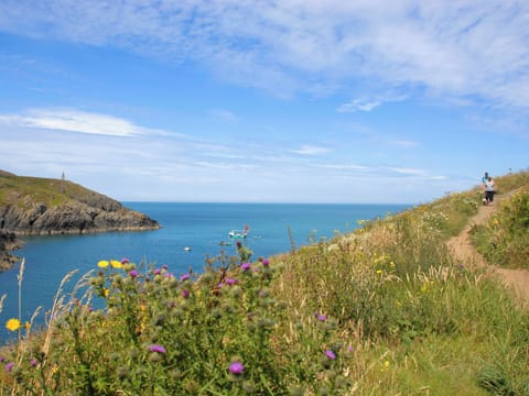 Outdoor area | Lower Bushford Cottage, Hasguard, near Dale