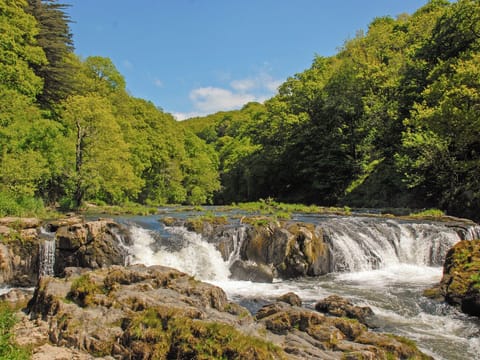Outdoor area | Kite Cottage, Cenarth
