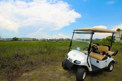 Golf cart