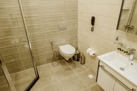 Standard Double Room | Bathroom | Shower, free toiletries, hair dryer, bathrobes