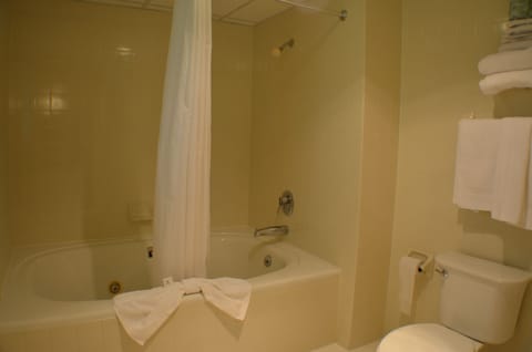 Deluxe Room | Bathroom | Combined shower/tub, hair dryer, towels