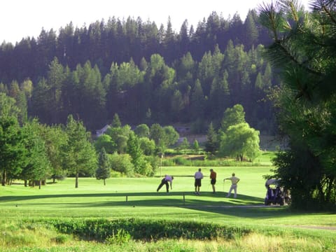 Several golf courses nearby.