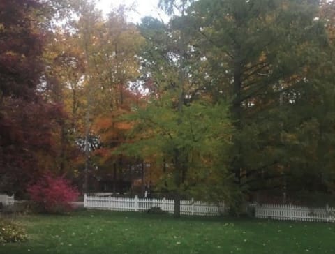 Mid to later October- just a small snapshot of the beautiful fall color here!