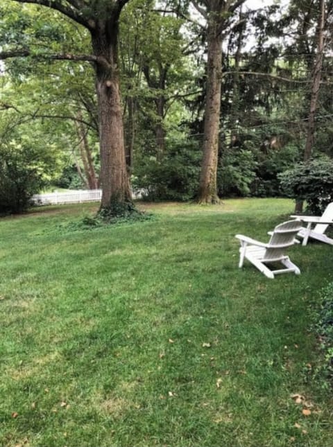 Sit in the Adirondack chairs and sip a drink, read or birdwatch.