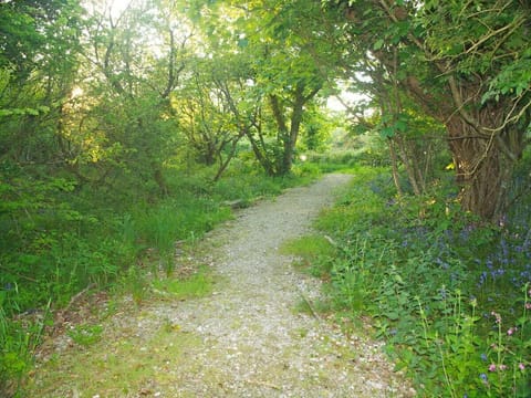 A walk in the resort