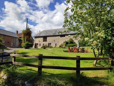 Garden area with seating