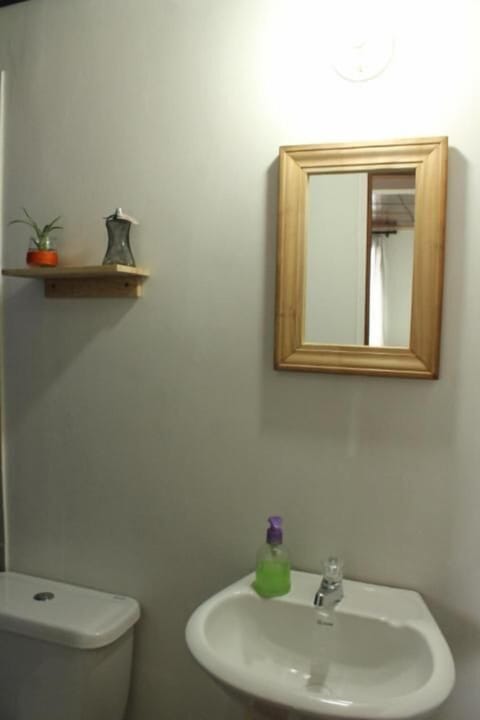 Standard Double Room | Bathroom | Shower, towels, soap, shampoo