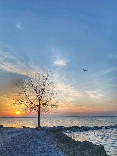 View from Showse Park